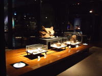 �{�茧�����s���l�Ô����يJ�ٓ���_�W�������΂炵��