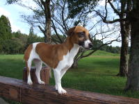 ���b�g�ł��B